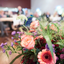 DGSv_Mitgliederversammlung 2019_Web_ 36 DGSv_Mitgliederversammlung 2019_Web_ 36