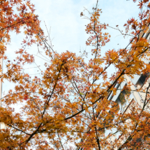 DGSv_Kompasstage_Hannover_JPG_ 73 DGSv_Kompasstage_Hannover_JPG_ 73