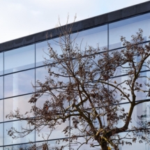 DGSv_MV_2025_Foto_Nicolas_Wefers_003__ DGSv_MV_2025_Foto_Nicolas_Wefers_003__