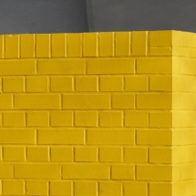 DGSv_MV_2025_Foto_Nicolas_Wefers_006__ DGSv_MV_2025_Foto_Nicolas_Wefers_006__