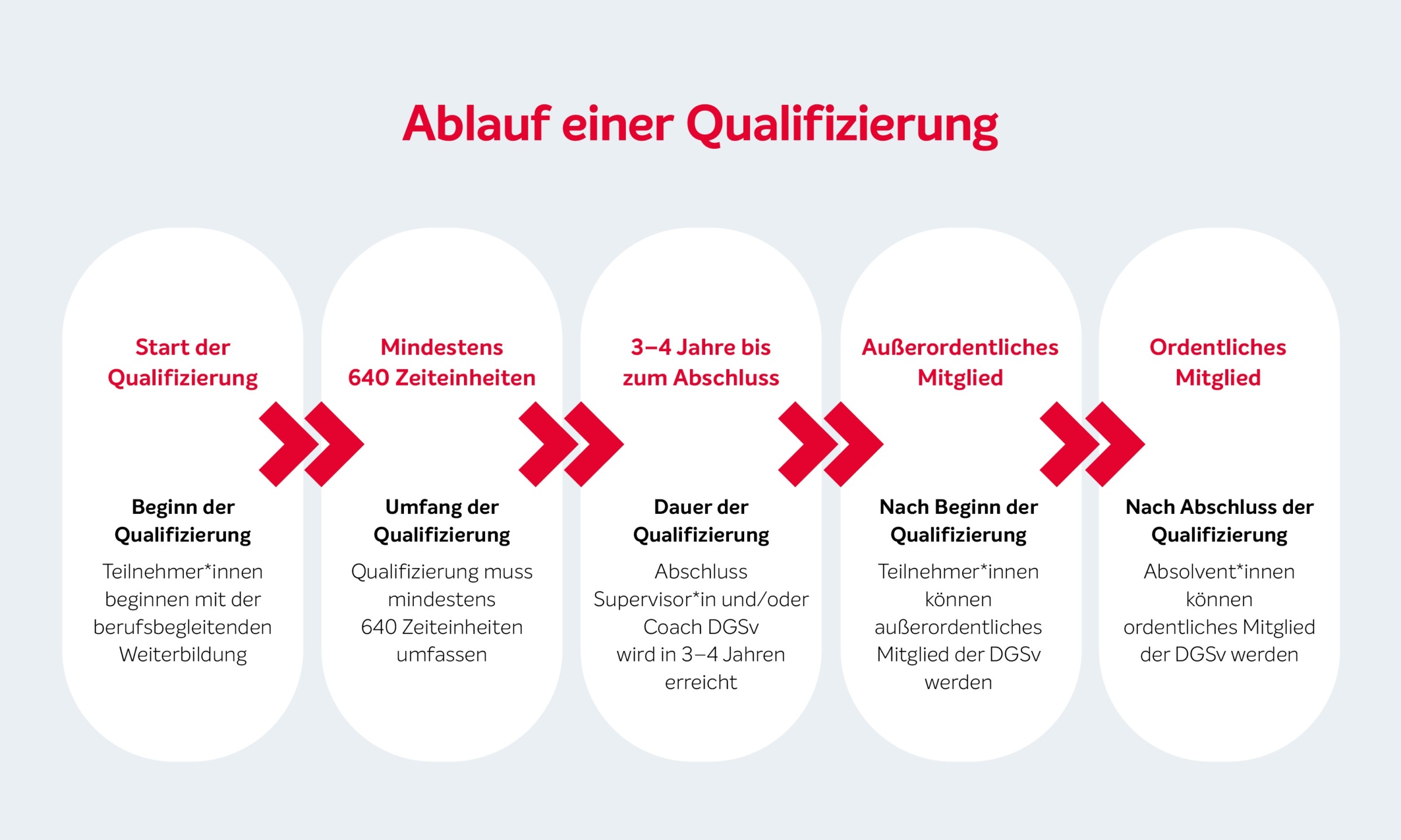 Prozess in fünf Stufen: Ablauf einer Qualifizierung, die von der DGSv zertifiziert ist. Vom Start bis zur Mitgliedschaft DGSv