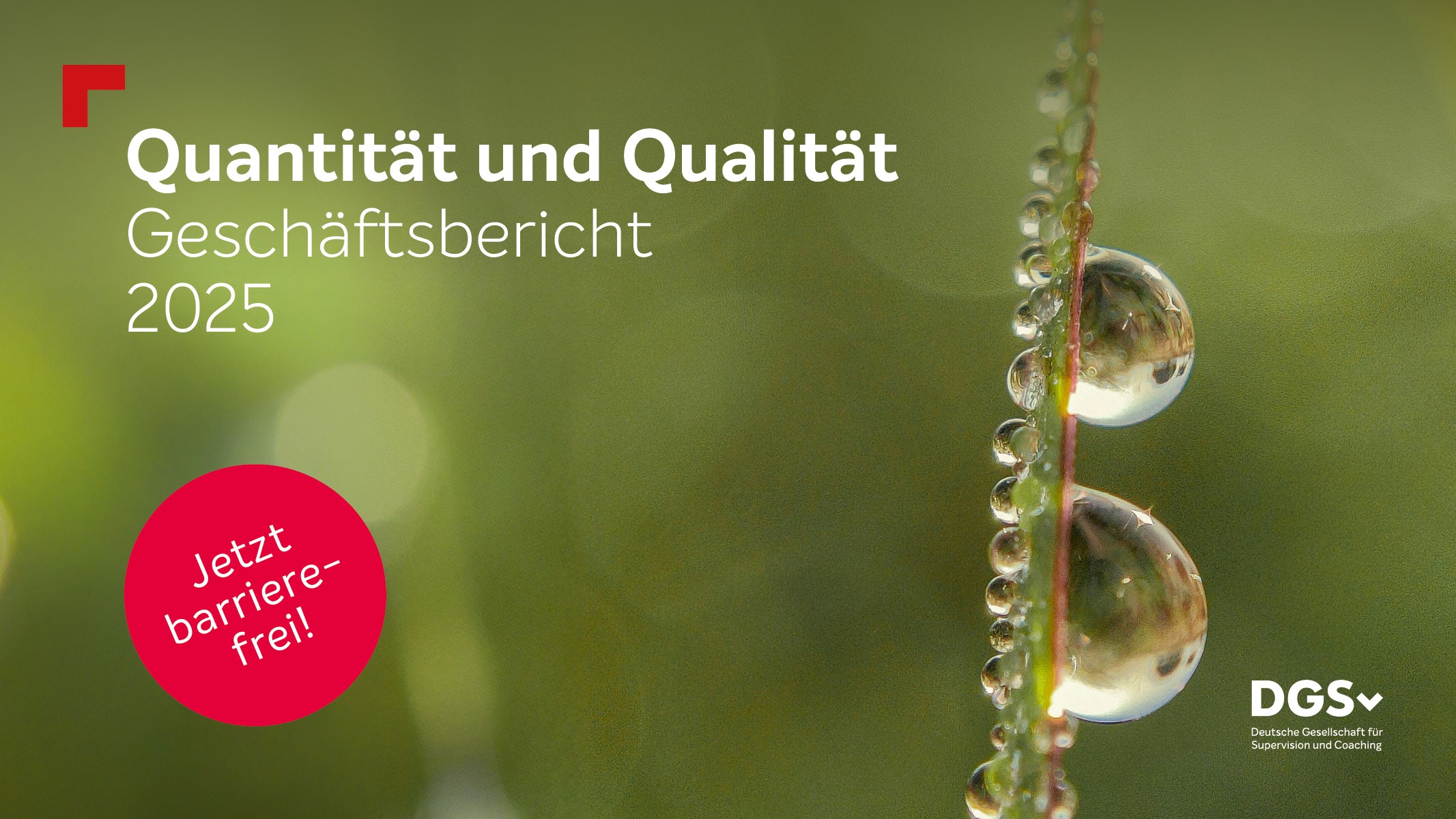 DGSv Geschäftsbericht 2025 - Quantität und Qualität