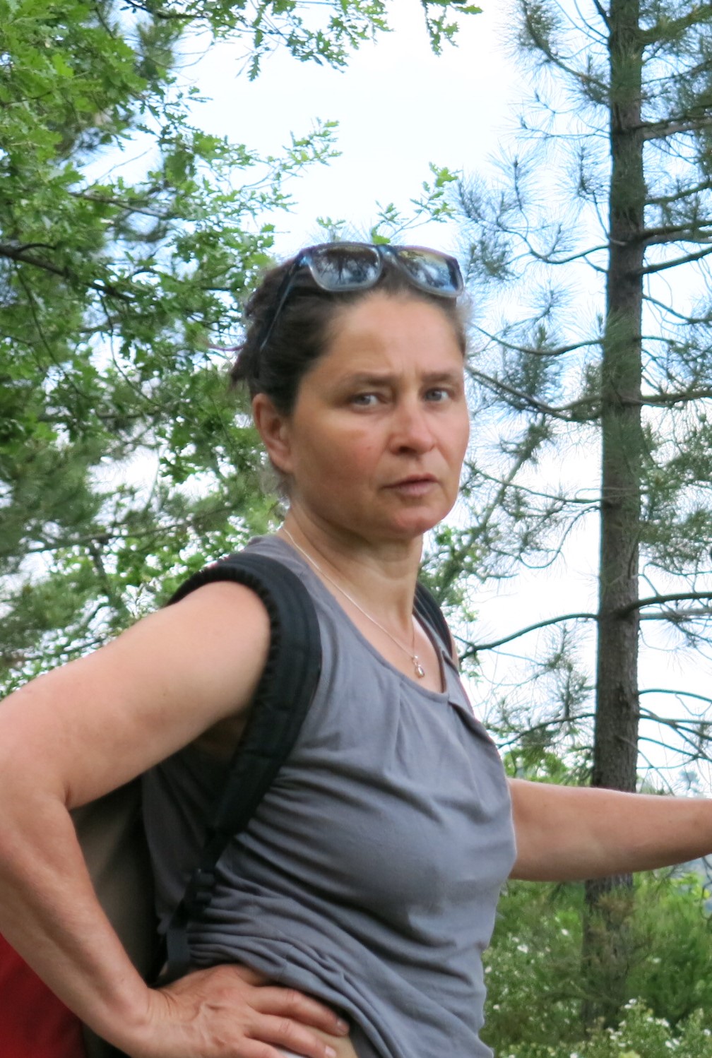 Profilbild von Katrin Gronau