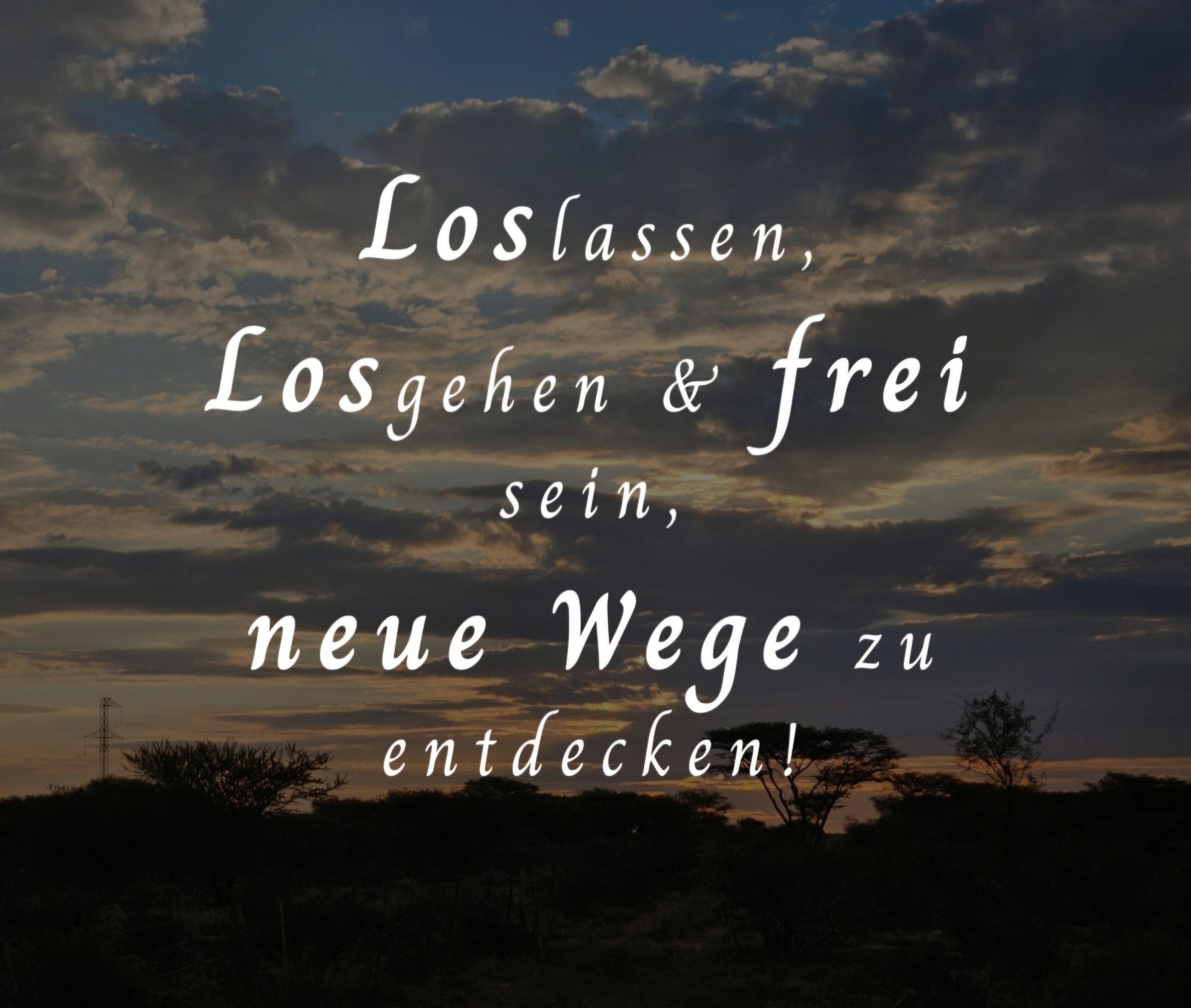 Profillogo von Sarah Krieg
